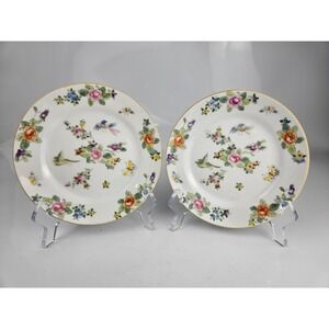 Vintage Hand Painted Japanese Porcelain Plates Floral Bird Pair